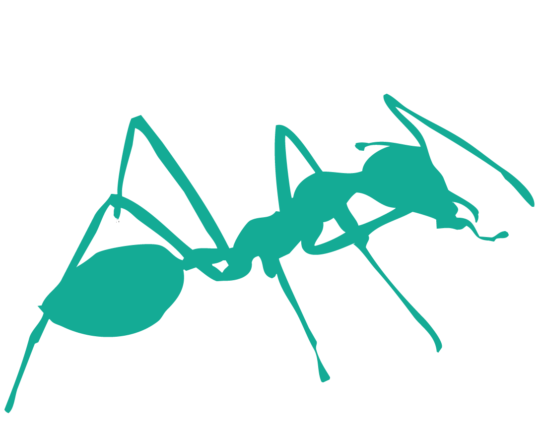ant
